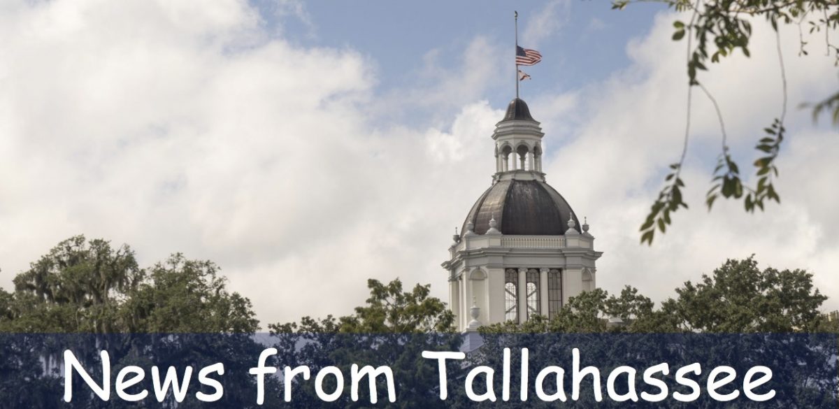 News from Tallahassee
