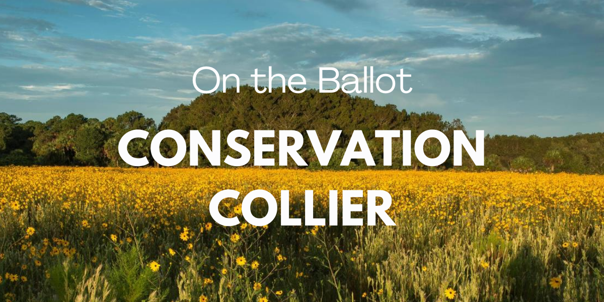 Conservation Collier