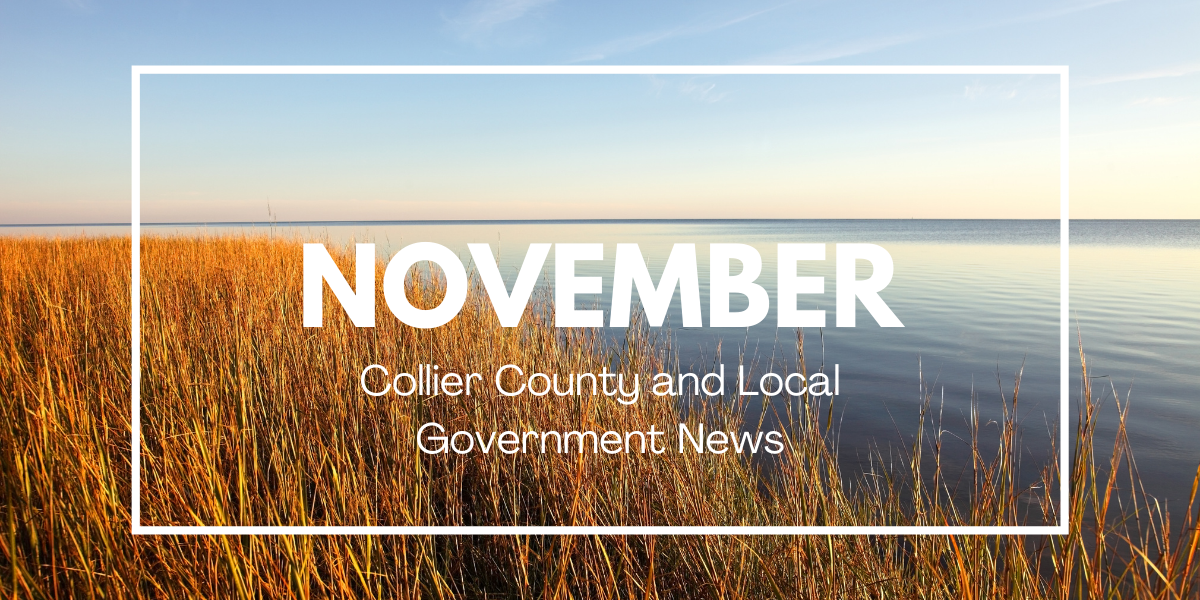 Collier County and Local News for November 2020