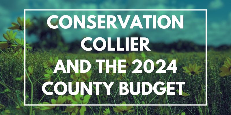 Conservation Collier